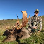 Jack Strong - @jackstrong4 - Instagram