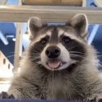 Jack Stroup - @not_jack_stroup - Instagram