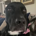 Jack Struck - @jack.isanidiot - Instagram