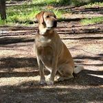 Jack Stucky - @stuckyjack - Instagram