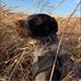 Jackson Studer - Facebook