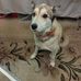 Jack Stull - Facebook
