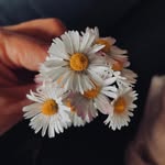 Jack Suen - @khatunstoopsz3 - Instagram