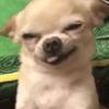 Jack Suggashie - @jack.suggashie - TikTok