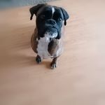 @captain_jack_suhr - Instagram