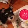 jackiesuiter - @jackiesuiter - TikTok