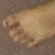 Jack sultan - @jacob.frankfort_tt - TikTok