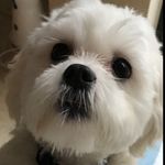 Jack Sutliff - @jsutty.32 - Instagram