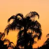 Jack Sutor - @jack.sutor1 - TikTok