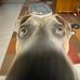 Jack Sutton - Facebook