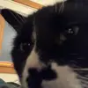 Jack - @jack.swanson_ - TikTok