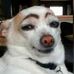 Jack Swanson - Facebook