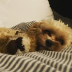 Jack Sweeney - @jacksweeney84 - Instagram