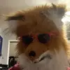 Jack Sweeney - @doodle_productionsyt0 - TikTok
