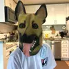 Jake Sweeney - @jake.sweeney62 - TikTok