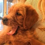 Jake Swiggett - @jrswiggett - Instagram