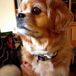 jack.swope - @jack.swope - Instagram