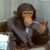 Jack - @jackszabo - TikTok