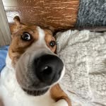 Jack Szabo - @jackszabo0 - Instagram