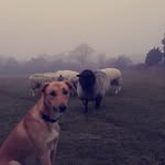 Jack Talbot - @jack_talbot6155 - Instagram