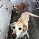 Jack & Teal - @jack_and_teal - Instagram