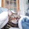 Jackie Tedder - @jackie.tedder - TikTok