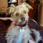 Theodore - @tedderpeajacktzu - Instagram