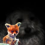 Jack Tedesco - @jack.tedesco.39 - Instagram