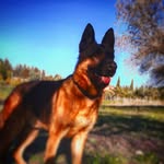 @pastore_tedesco_jack - Instagram