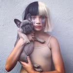 @jack.n.templeman - Instagram