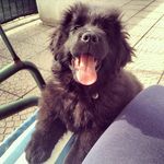 Jack❤️ - @_jack_il__terranova_ - Instagram