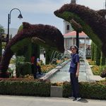 Jack Terranova - @terranovajack - Instagram