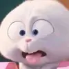 JacksTeuber - @jacksteuber - TikTok