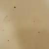 jack_thomes - @jack_thomes - TikTok