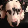 Jake Timmins  - @jake.t08 - TikTok