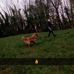 Jack Tobin - @jacktobin4 - Instagram