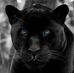 Jack Toner - Facebook