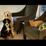 Jack Tonkin - @jack.tonkin.908 - Instagram
