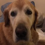 Jack Tonkin - @tonkin_jack - Instagram