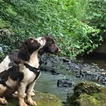 Jack Tonkins - @jacktonkins - Instagram