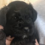 Jack Topper - Facebook