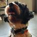 Jack Toth - Facebook