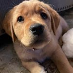 Jack Toth - @jacktoth5 - Instagram