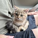 杰克去 - @jacktothego - Instagram