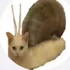 jatowl08 - @jacksontowle7 - TikTok