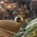 Jack Trent - Facebook