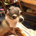 Jack Trumbull - Facebook