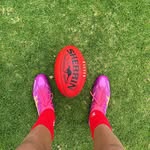 Jack - @jack_trussell02 - Instagram