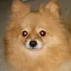 Jack Tse - @jack.tse - TikTok