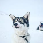曾雅宣 - @jacktsen1 - Instagram